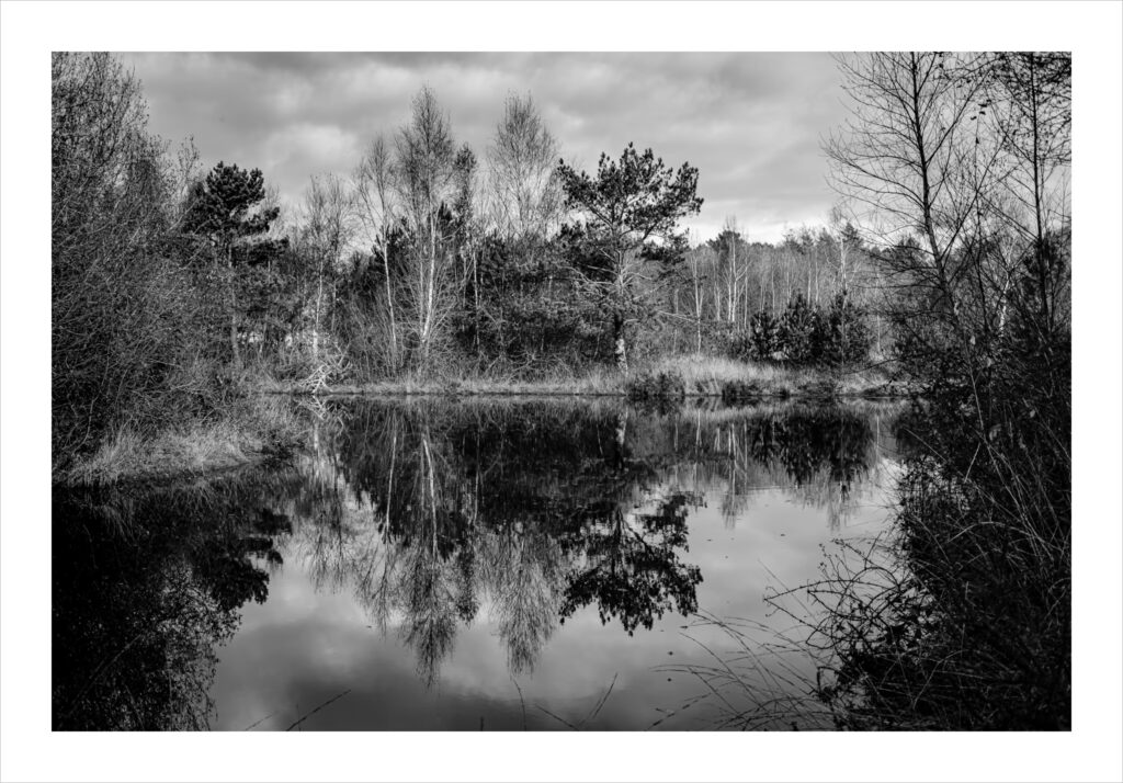 Sainte-Anne-d’Auray : Photo en noir et blanc d'un étang calme bordé d'arbres sans feuilles et à feuilles persistantes. Les arbres et le ciel nuageux se reflètent clairement dans l'eau calme, créant une image miroir presque parfaite. La scène est encadrée par des branches clairsemées au premier plan.