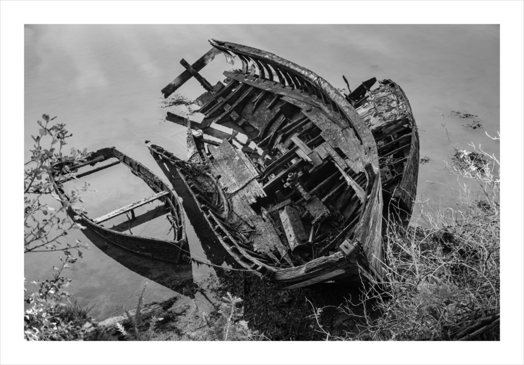 Rivière du Bono. Photo en noir et blanc de trois bateaux en bois en décomposition, à moitié coulés et fendus, avec des planches cassées et des côtes apparentes. Les épaves se trouvent dans des eaux peu profondes et calmes, près du rivage, entourée d'une végétation clairsemée et de branches en surplomb.
